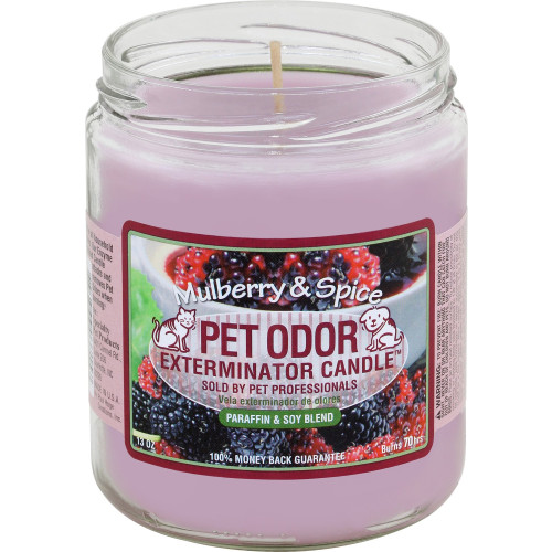 Vet Candle 13oz Jar Mulberry & Spice