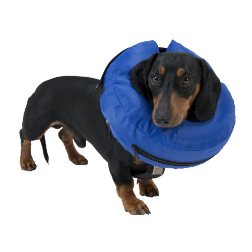 Vet Direct - Buster Inflatable Collar Nylon