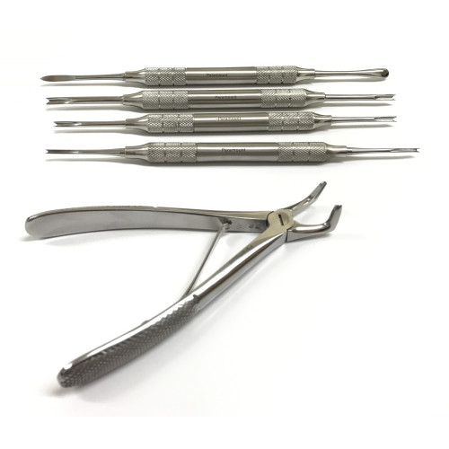 Canine and Feline Veterinary Dental Instruments and Extraction Set – Dr  Bretts Pets