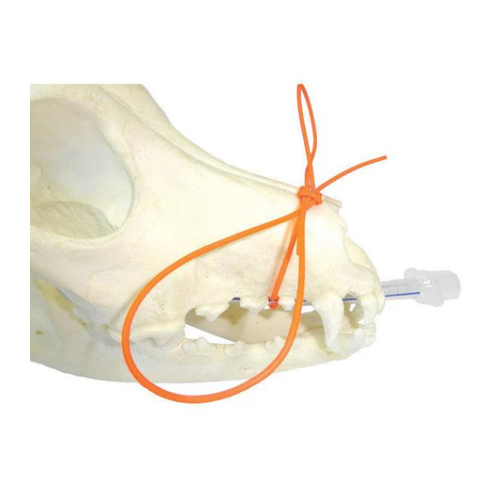 Endotracheal Tube Ties