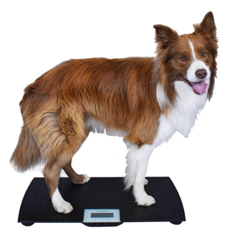 Pet scale - Universal scale 300kg/100g 600x900 - Vetek