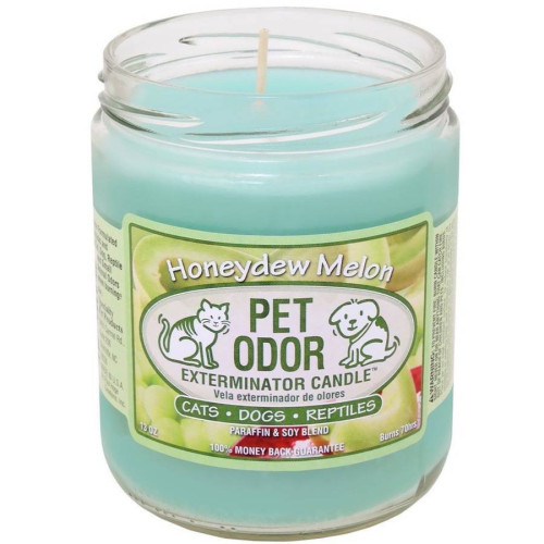 Pet Candle 13oz Jar Cool Cucumber & Honeydew