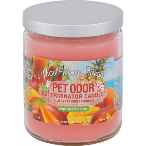 Pet Candle 13oz Jar Maui Wowie Mango