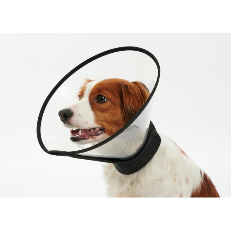 Vet Direct - Buster Complete Collar